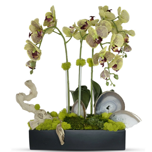 Green Orchids in Ceramic Planter w/Agate Slabs - The Mayfair Hall