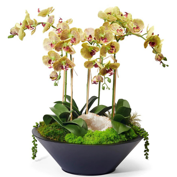 Green Orchids in Round Metal w/Geode - The Mayfair Hall