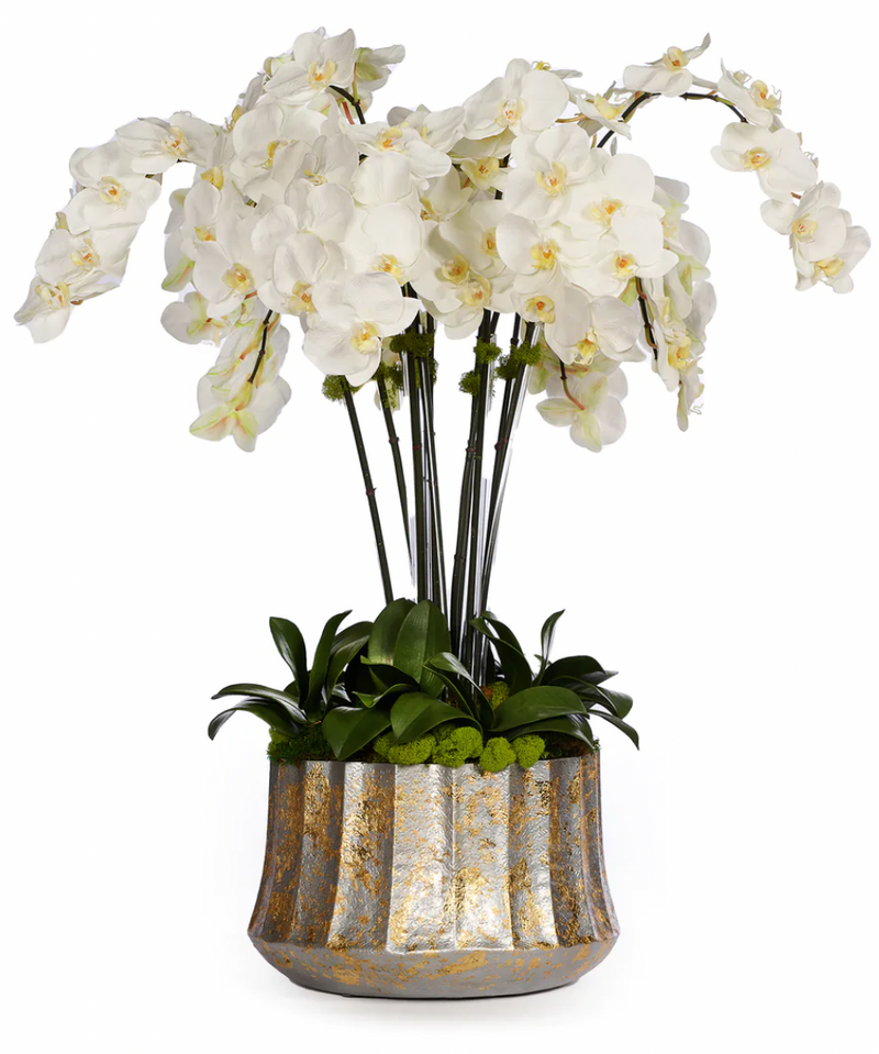 White Orchids in Gold Leafed Container - The Mayfair Hall