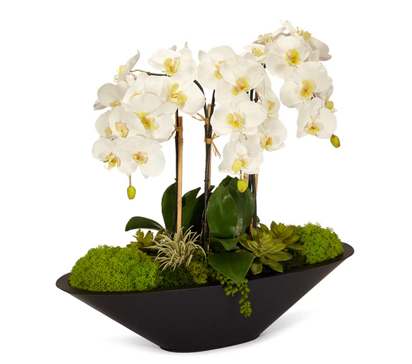 White Orchids in Large Metal Container - The Mayfair Hall