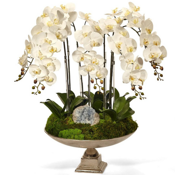White Orchid and Crystal in Large Silver Urn - The Mayfair Hall