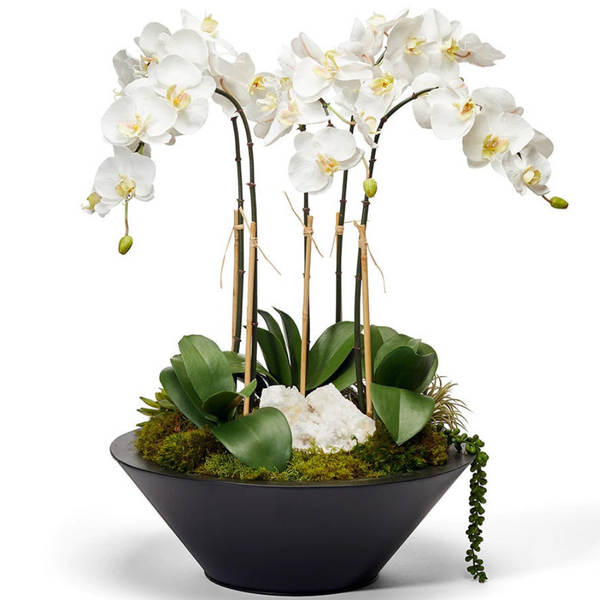 White Orchid in Large Metal Container - The Mayfair Hall