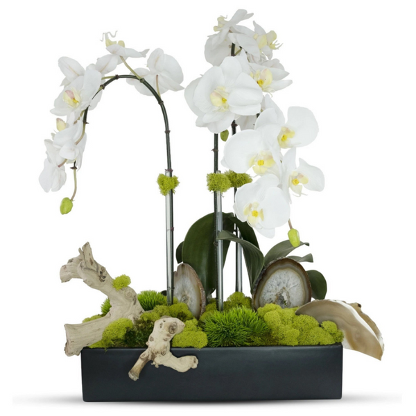 White Orchids in  Ceramic Planter w/Agate Slabs - The Mayfair Hall